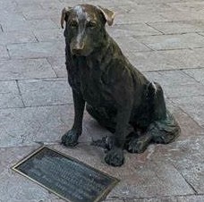 Rufo, el perro más famoso de Oviedo en los años 80