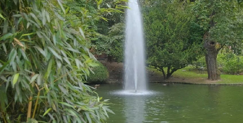 Estanque central del Parque San Francisco con patos y vegetación