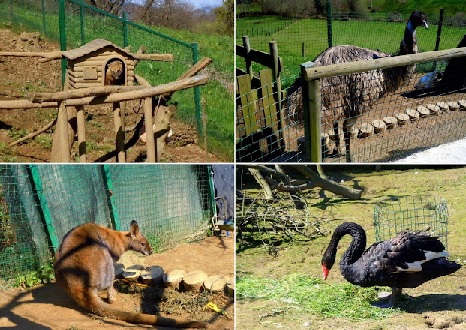 Animales del Núcleo Zoológico El Bosque